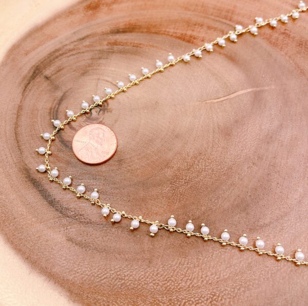 pearl beaded chain and coin pendant