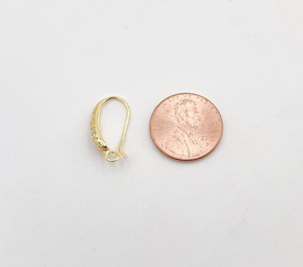 Shephard's Hooks Ear Wire and coin