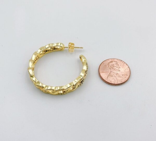 Link Chain Hoop Earrings and Coin