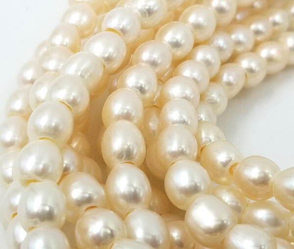 Freshwater Gemstone Beads