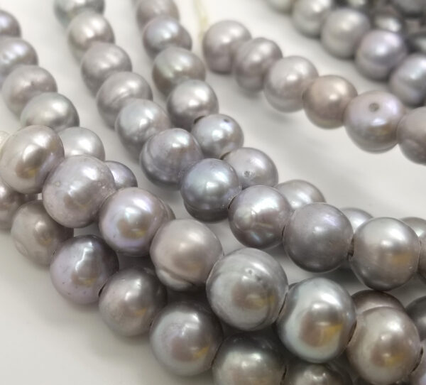 Large Grey Pearl
