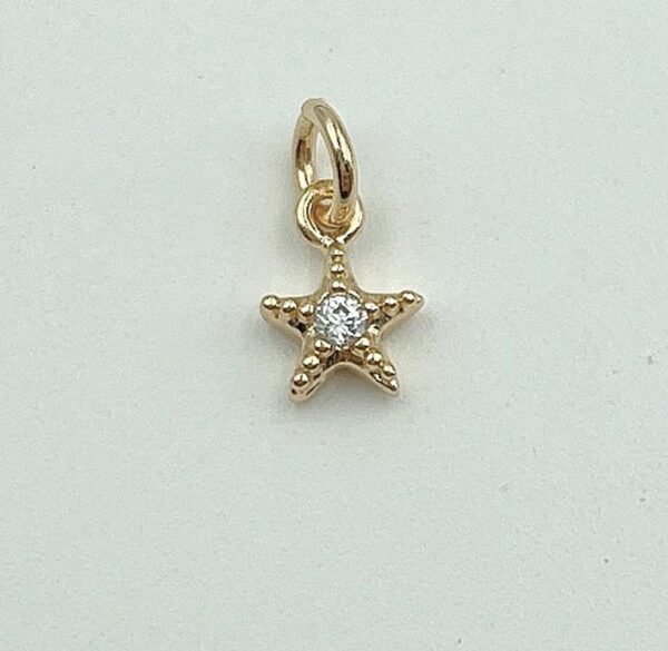 Gold Tiny Star Pendant