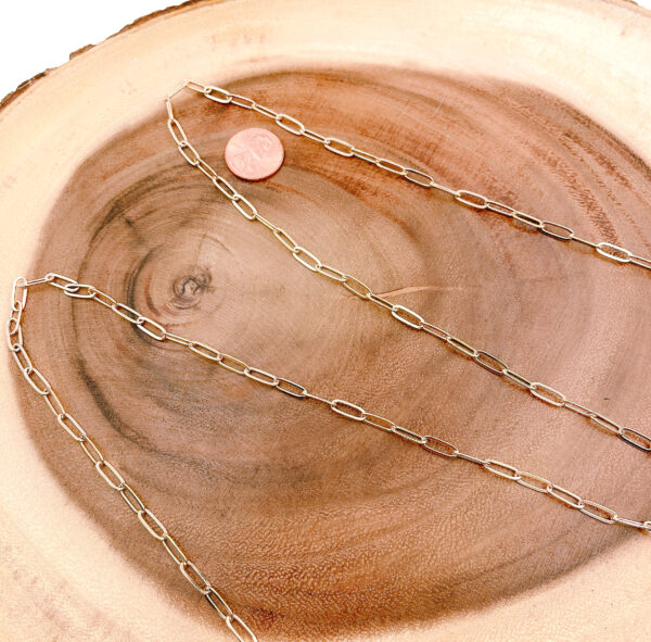 Gold Paper Clip Chain in a Wood with Coin
