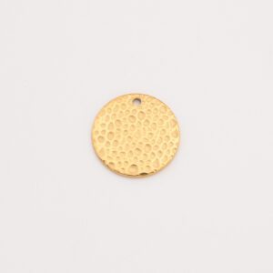 Gold Filled Textured Coin Charm, Hammered Round Disc Pendant in Stainless Steel for DIY Necklace Bracelet Jewelry Making, Gift Idea, SCP001