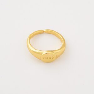 Gold Filled Adjustable Statement Ring, Bold Engraved Word Ring, Funny Minimalist Signet Ring for Edgy Gift or Self Expression, RG233
