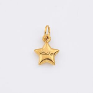 Gold Filled Lucky Star Charm, Stainless Steel Engraved Puffy Star Pendant for DIY Necklace Bracelet Jewelry Making, Gift for Her, SCP186