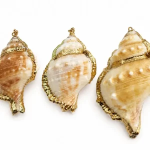 Gold Filled Natural Shell Pendant, Large Real Seashell Charm, Ocean Beach Shell Pendant, Coastal Jewelry Making Supply, Gift for Her, CP2515