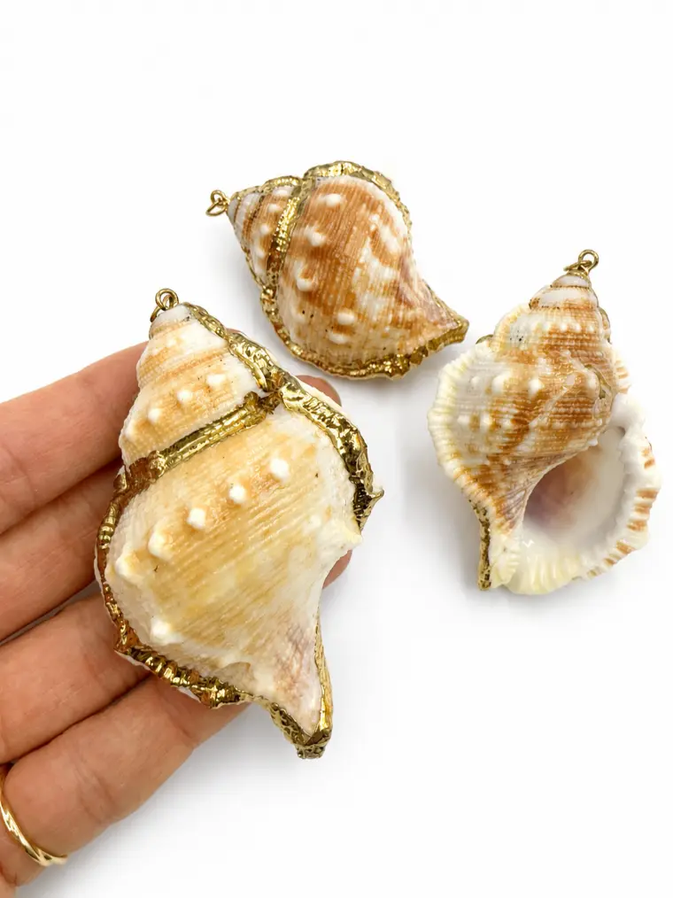 Gold Filled Natural Shell Pendant, Large Real Seashell Charm, Ocean Beach Shell Pendant, Coastal Jewelry Making Supply, Gift for Her, CP2515 - Image 2